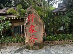 -野象谷景区