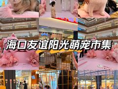 -友谊阳光城