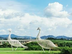 -光明小镇欢乐田园