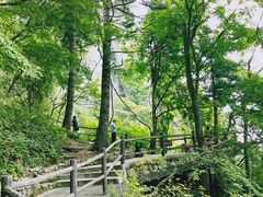 -秦岭天竺山景区