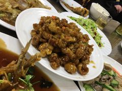 -林之六八·6886大连老菜馆