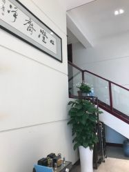 -Hello Lady发型设计