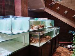 -樱之盛宴·蟹料理海鲜自助(前进大街店)