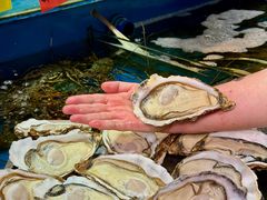 -粤盛海鲜平价店(洛溪食街店)