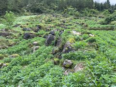 -重庆云阳龙缸景区