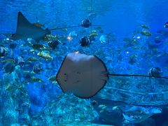 -横店影视城梦幻谷园区