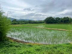-良渚古城遗址公园