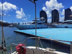 -小猫钓鱼海钓俱乐部(椰梦长廊店)