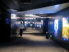 -奥斯卡升龙国际影城(RealD Cinema)