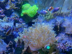 -南昌融创海世界