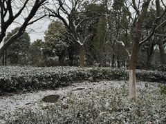 -味正点车轮饼可丽饼(南禅寺店)