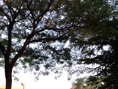 -大雁塔北广场音乐喷泉
