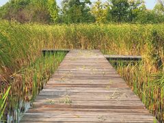 -梁鸿国家湿地公园