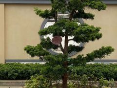 -许驸马府