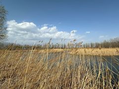 -野鸭湖国家湿地公园