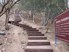-北京十三陵国家森林公园蟒山景区