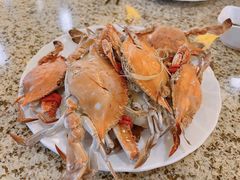 -禾斗海鲜自助(市北诺德店)
