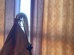 -丹道颐养堂