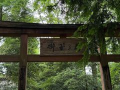 -凤栖山