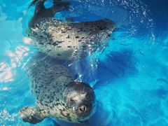 -华夏文旅海洋公园