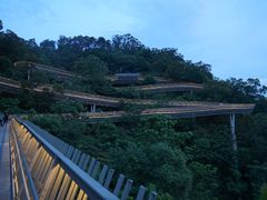 -福道