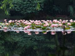 -茅家埠