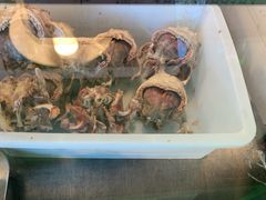 -洪记白水羊头(留学路店)