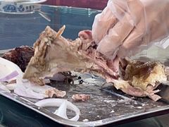 -新疆风味冷水鱼庄(友谊峰路店)