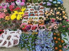 -双季花艺园艺市场(浦东店)