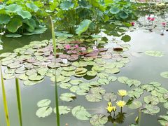 -国家植物园南园