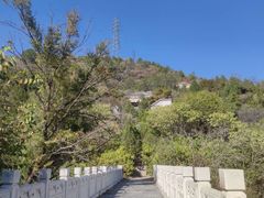 -白水寺森林公园