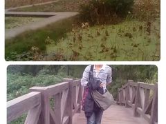 -三圣花乡旅游区