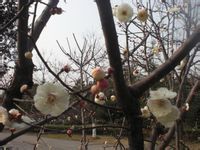 -白塘生态植物园