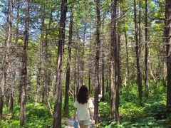 -白草畔自然风景区