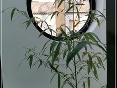 -古耳咖啡(北锣店)