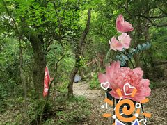 -宝界山林公园