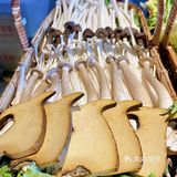 专门打车来白各庄就为了这口正宗内蒙涮肉