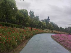 -春花秋色城市公园