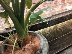 -沈阳铁西万象汇