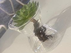 -% Arabica阿拉比卡咖啡(前滩太古里店)