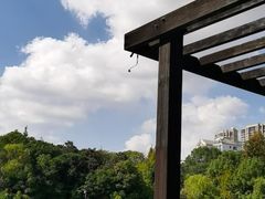 -新洲生态园