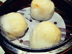 -珍妮曲奇聪明小熊(尖沙咀店)