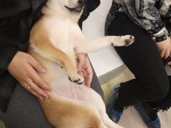 -浣熊柯尔鸭土拨鼠·电玩咖