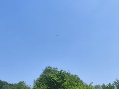 -马家湾湿地公园