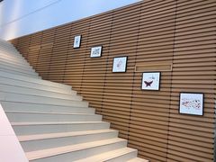 -上海交通大学（闵行校区）-李政道图书馆
