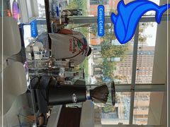 -Cetus coffee鲸鱼座咖啡·拼豆(二仙桥公园店)