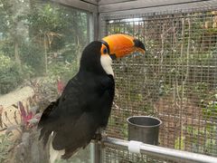 -南宫五洲植物乐园