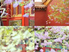 -故宫博物院(故宫)