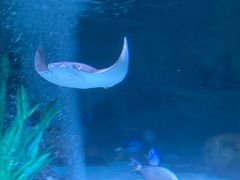 -沈阳海洋探索中心