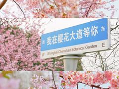 -上海辰山植物园